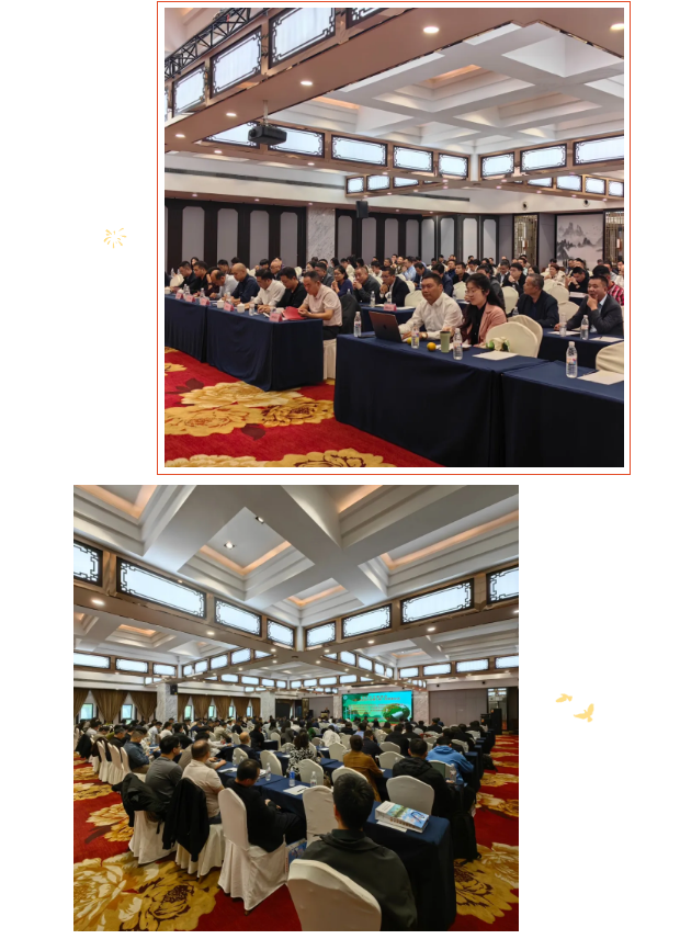 5d3bca3b-cbc6-45e1-84d1-64b54c1c85d9.png